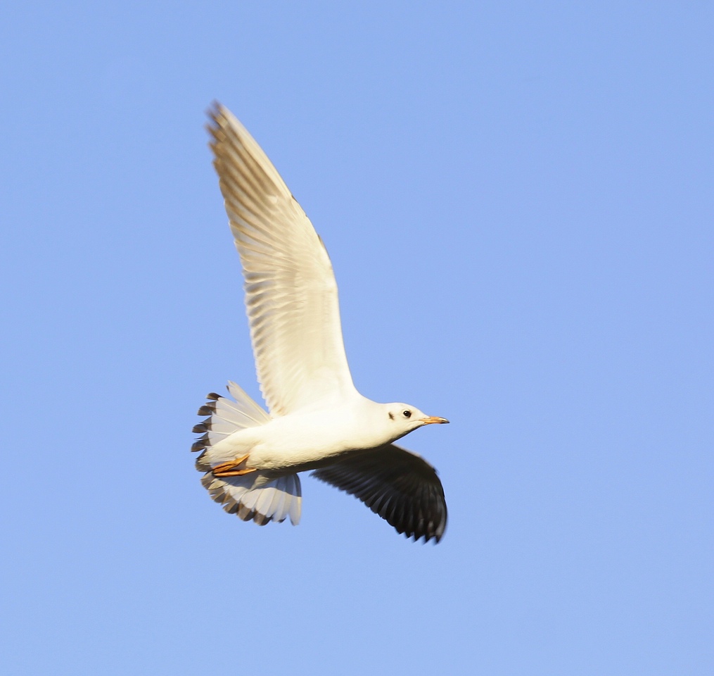 IMG_3305-11.jpg