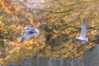 IMG_3328-11.jpg
