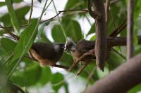 IMG_4405-11.jpg