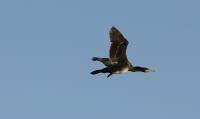 IMG_5507-11.jpg
