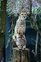 IMG_2531-1.jpg