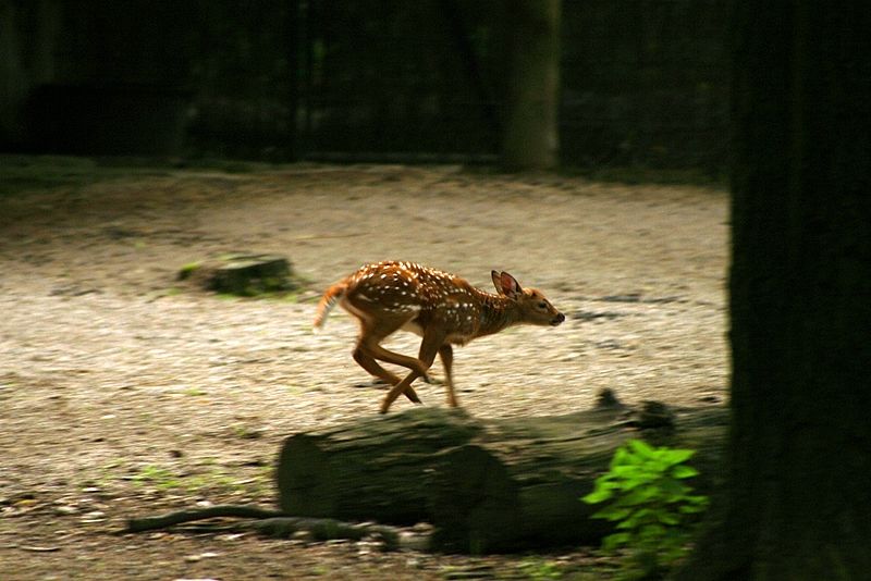IMG_4683.jpg