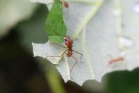 IMG_4886-1.jpg
