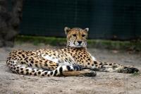 IMG_2541-1.jpg