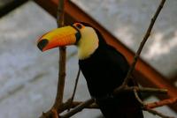 IMG_2454.jpg