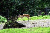 IMG_3782.jpg