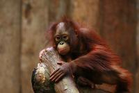 IMG_7916-1.jpg