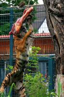 IMG_8393-1.jpg