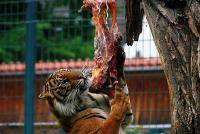 IMG_8425-1.jpg