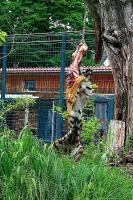 IMG_8433-1.jpg