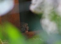 IMG_8730-1.jpg