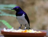 IMG_8041-1.jpg