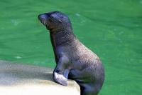 IMG_9376-1.jpg