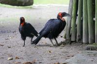 IMG_2090.jpg