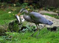 IMG_7727-1.jpg