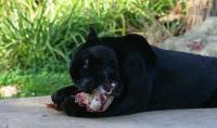 IMG_8131-1.jpg