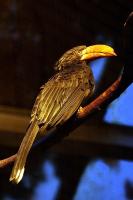 IMG_0781-1.jpg