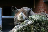 IMG_2854-1.jpg