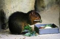 IMG_2879-1.jpg
