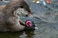 IMG_3149-1.jpg