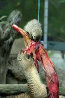 IMG_3581-1.jpg