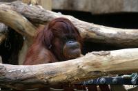 IMG_2071-1.jpg
