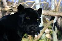 IMG_7497-1.jpg