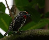 IMG_7878-1.jpg