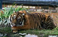 IMG_7981-1.jpg