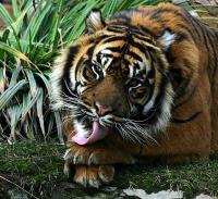 IMG_7982-1.jpg
