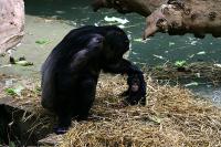 IMG_8292-1.jpg