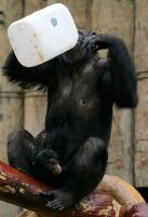 IMG_8743-1.jpg