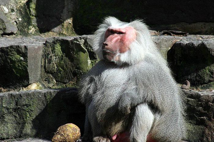zoo01.jpg