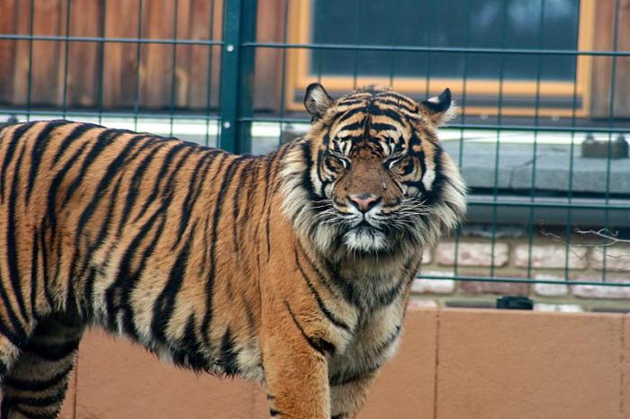 zoo22.jpg