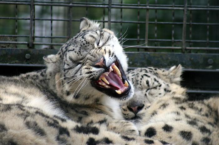 zoo02.jpg