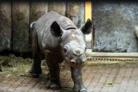 zoo90.jpg