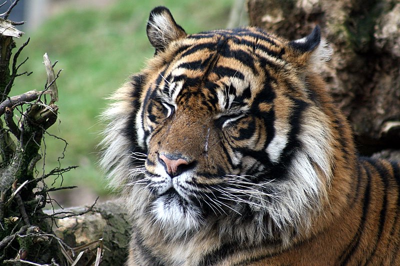 zoo47.jpg