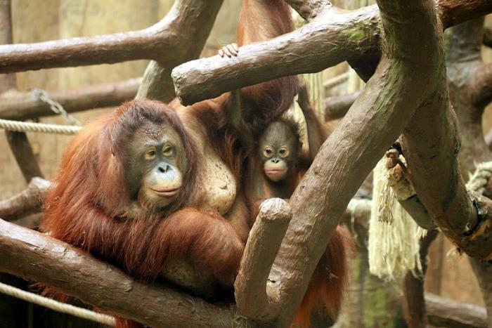 krefeldzoo023.jpg