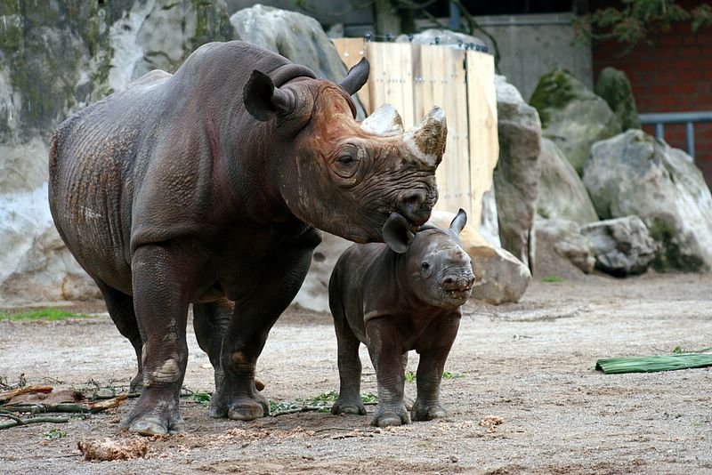krefeldzoo034.jpg