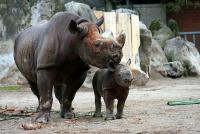 krefeldzoo034.jpg