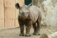 krefeldzoo010.jpg