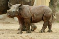 krefeldzoo012.jpg