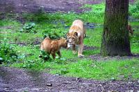 BurgersZooIMG_8526-1.jpg