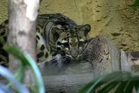 IMG_6777.jpg