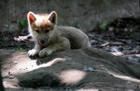 nIMG_7538-1.jpg