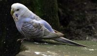 IMG_8992-1.jpg