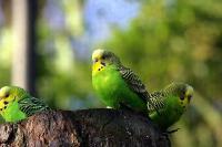 IMG_9105-1.jpg
