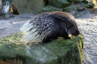IMG_9233-1.jpg