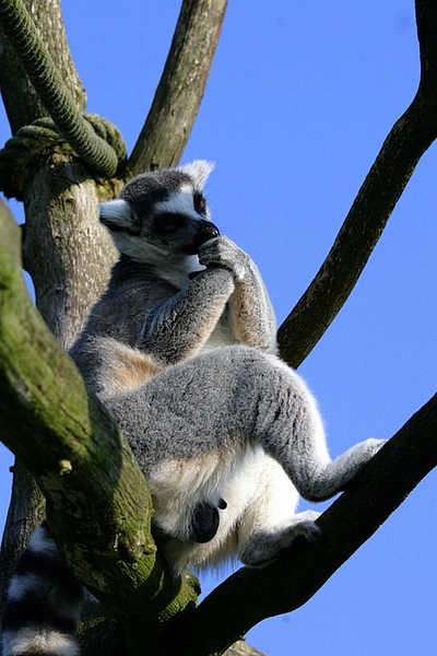 katta-1.jpg